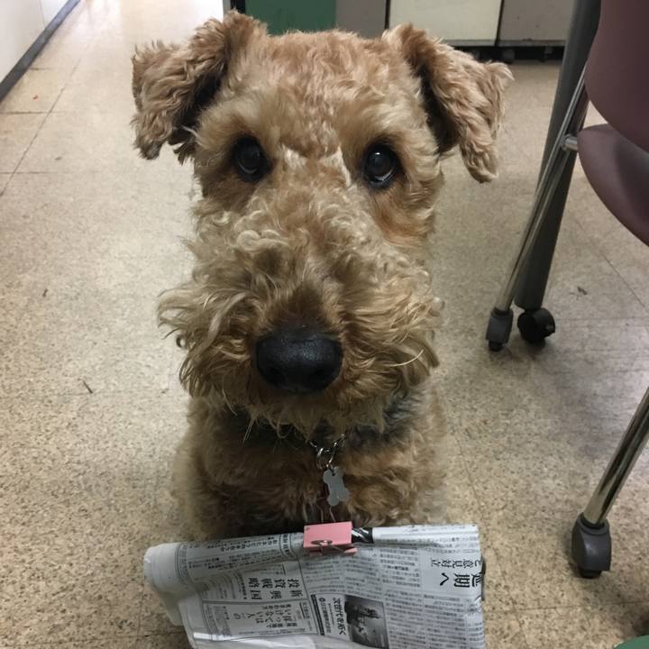 5a356b50 dec4 4d6c b0a8 1a64c0d7ac45