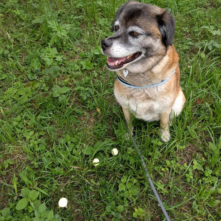 5a356d23 5aa7 4aa8 bc90 7808387e8f4d