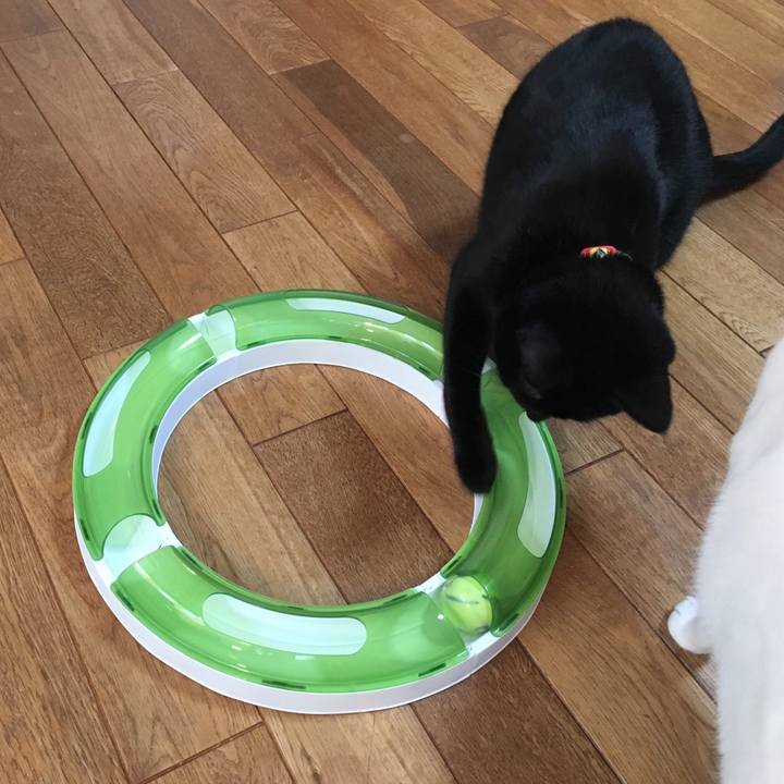 5a358a46 f525 41b7 9ee0 8d413a7de280