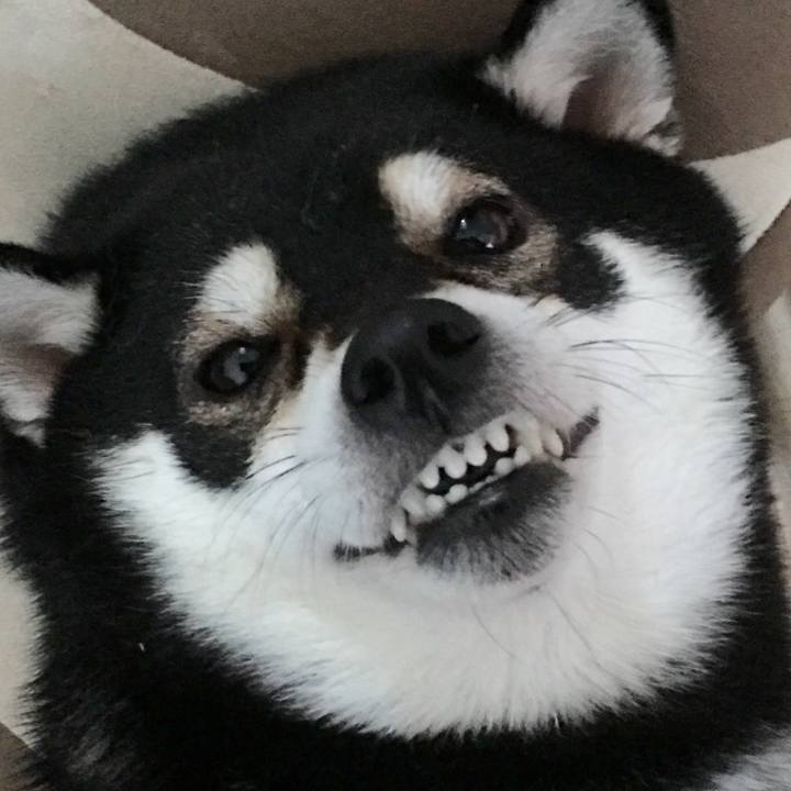 5a358b70 5ef2 4d80 b7bb 8055adebd191