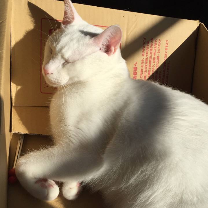 5a35d1f4 27bb 4205 b473 992d0fea85b8