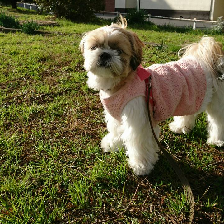 5a37756a 6bf9 4080 bf8b 8037e248d056