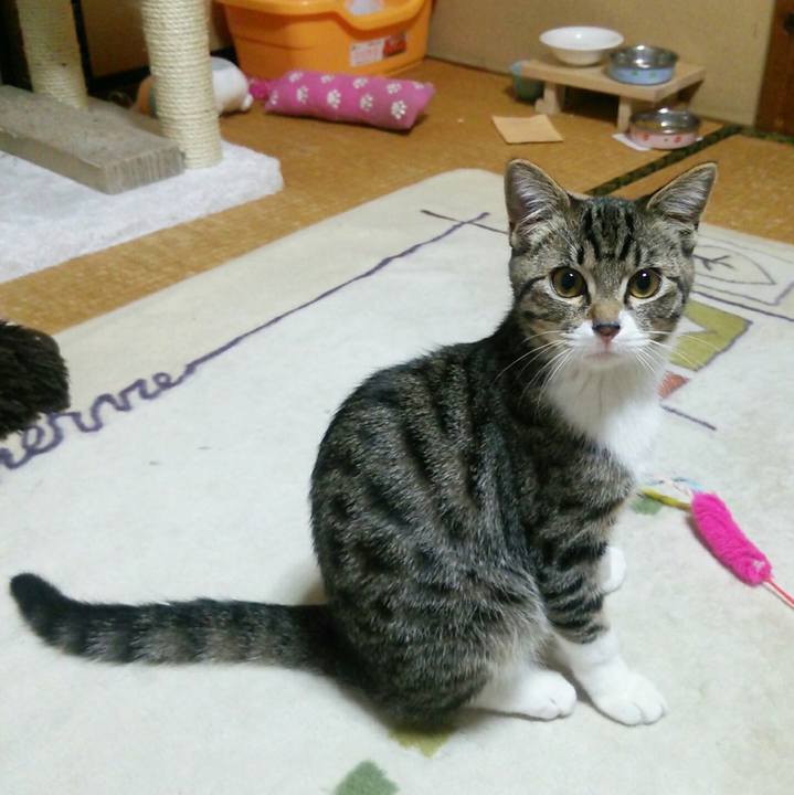 5a37c58f fe7c 487d b37b 3c8bec50d477