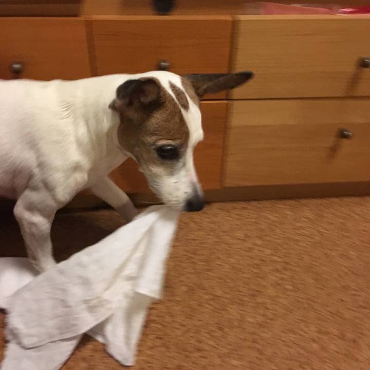 5a381bb2 2269 46aa 80bb 82dbdc69e9f3