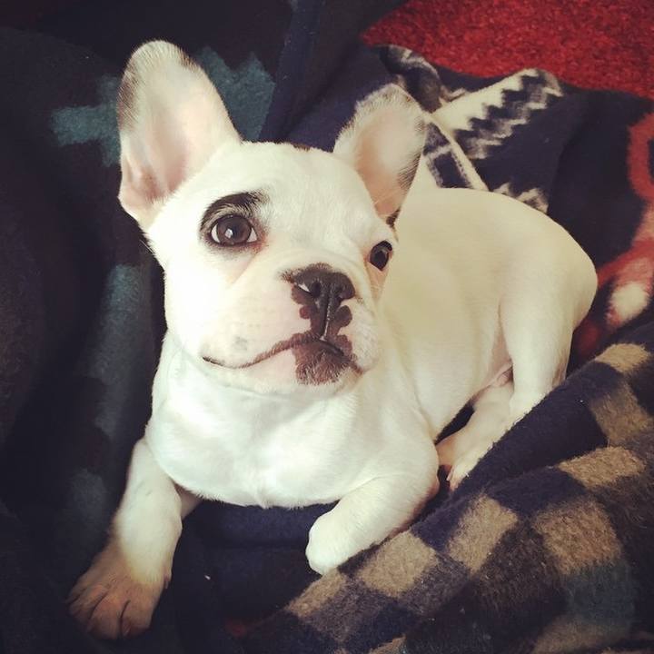 5a384d1f 6d8d 4020 ab43 d89257c35f2c