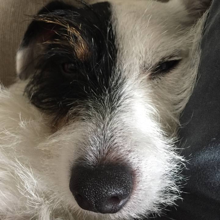 5a386d26 4bc5 4c17 8d7f bb9185b53bd2