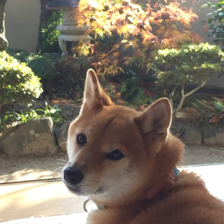 5a38c359 aac7 4d7d 91e5 44c1d35a1ee8