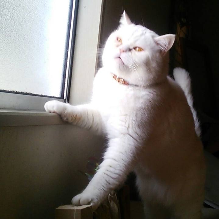 5a390c99 5c24 435d 8ae8 80508cb81292