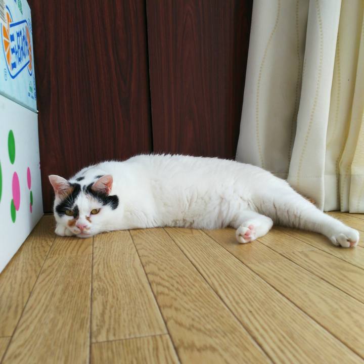 5a39d43f a8ca 4e58 854e bded2c0c5076