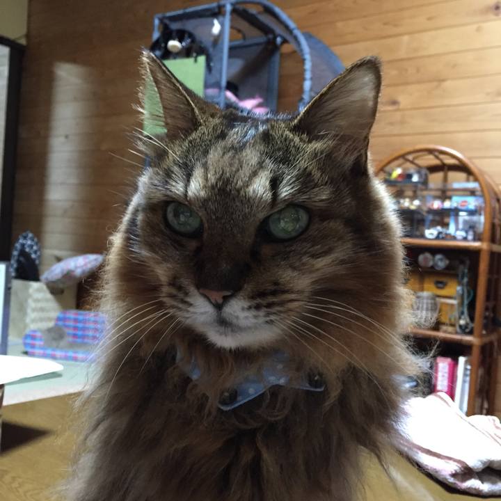 5a39dbb9 4c04 4046 b849 8220c2e7e257