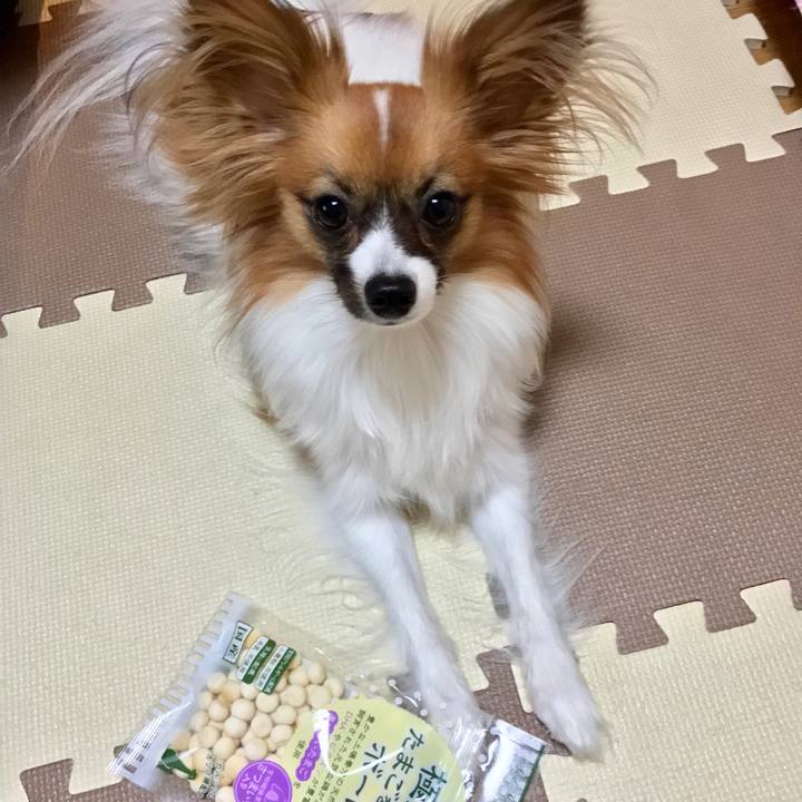 5a3b0c9f 5f5f 410a aeae 1956b8b4838d