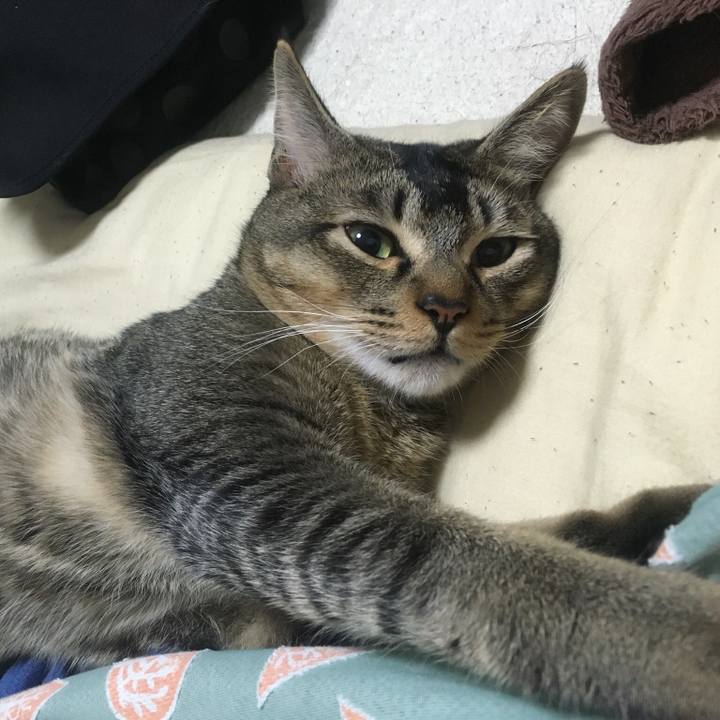 5a3b11c0 5be3 4b1a a188 574577bee2ca