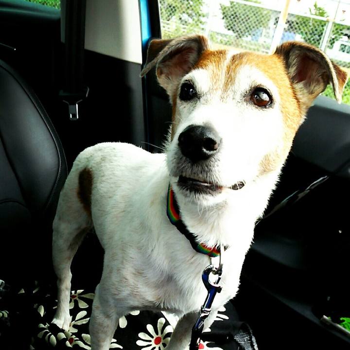 5a3b1ebe b061 4ae7 aee5 04a3ea890dce