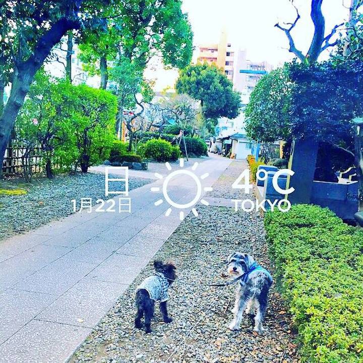 5a3b83be 018d 4eb8 b205 02ace5d3648d