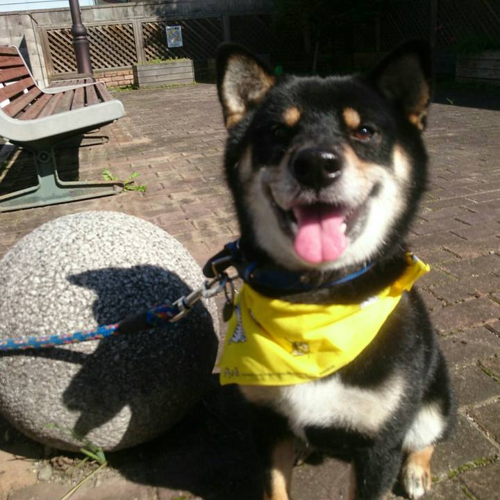 5a3cd390 01d9 4b94 97e9 7d5ae54f00d4