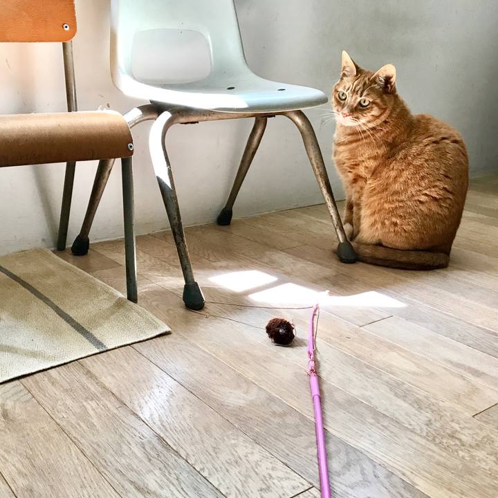 5a3cd4b0 c1d3 476e 9ca7 0f981419d384