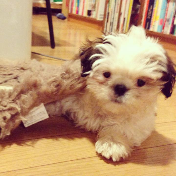 5a3df8db 3c3f 4c88 a51f 81798098530b