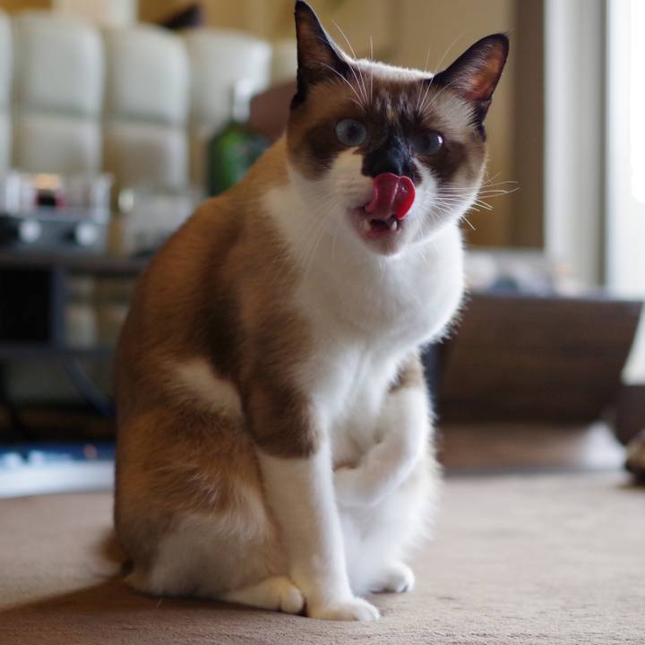 5a3e2d4b 77b0 4dc1 9a52 34a399cc978e