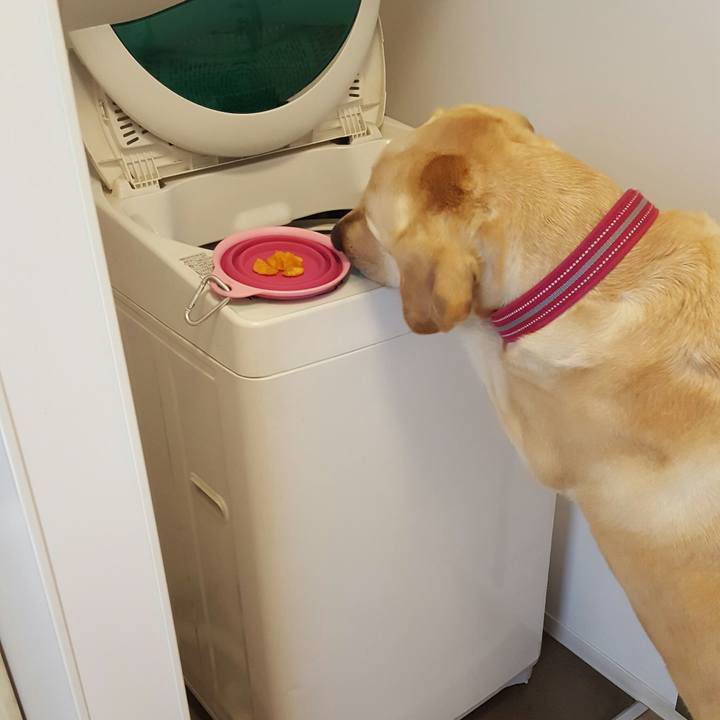 5a3e85f4 310f 4b22 a8c9 8f06bfa991c7