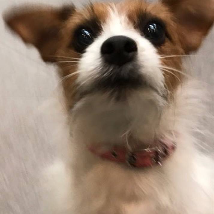 5a3e92cd 7951 4daf 8235 207f43e88a45