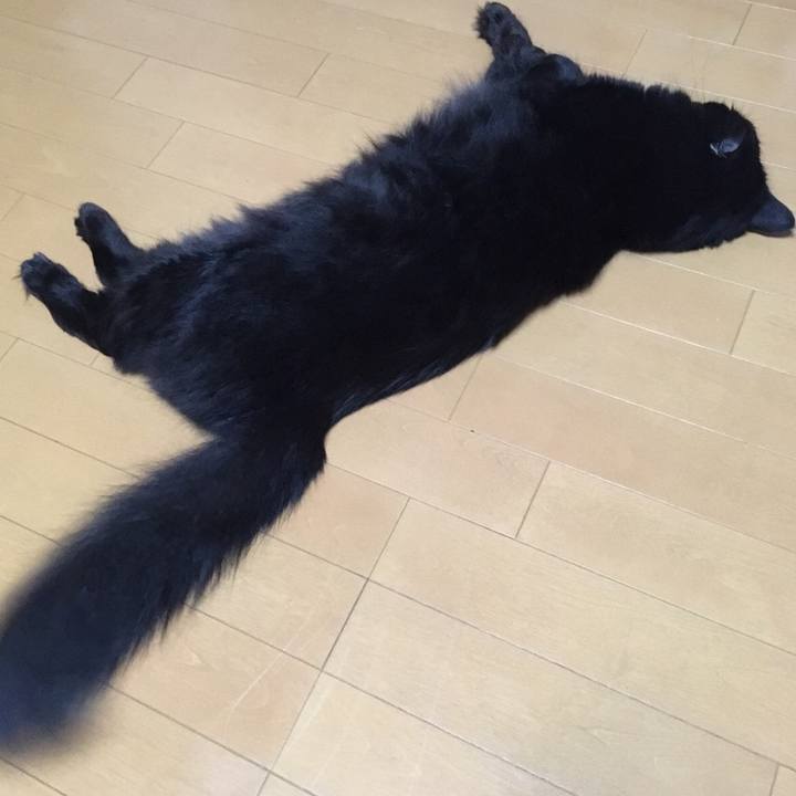 5a3ef098 cd5b 49c6 abbf 20f7b334ab0e