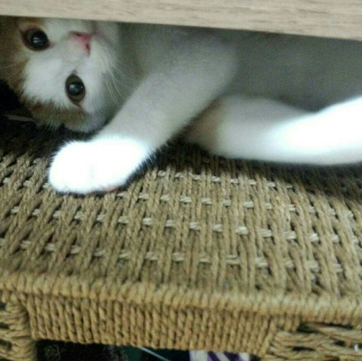 5a3f0b2b 8491 41a4 a838 be12c2a4a78b