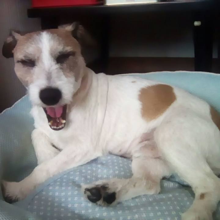 5a3fad53 21e0 4b0e 9ca8 0e031bf337e0