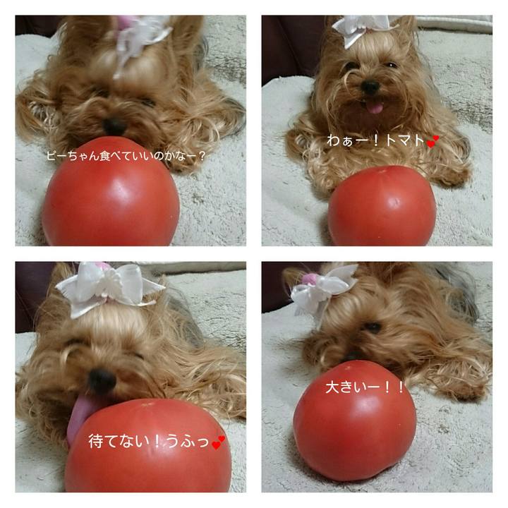 5a3fb077 e34a 4fae b60c 76c7a583be9a