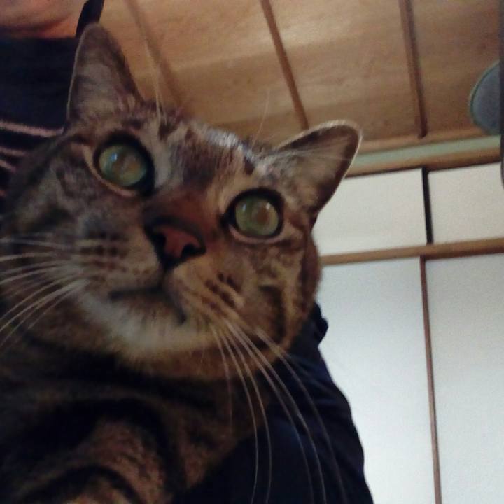 5a3fc62b 1a14 4149 b67b 3d6a6dd9fd9a