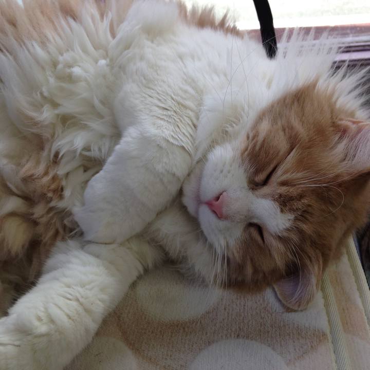 5a3fe5b9 3e01 4bab a03b f92cd0be61d2