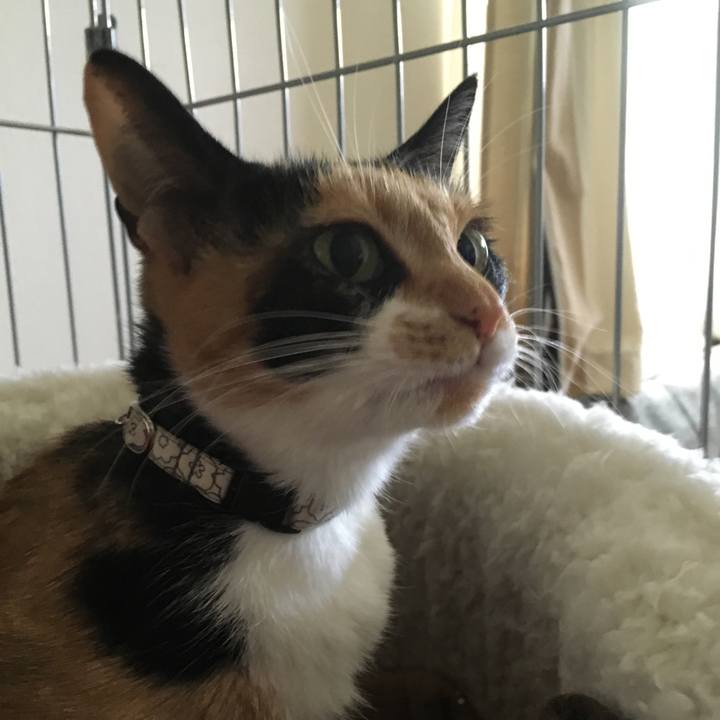 5a3ff134 e09d 4c15 969f 22ec2f16d534