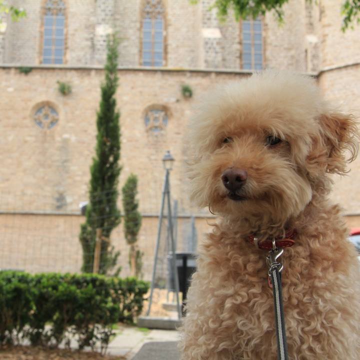 5a3ff701 749b 49fb a012 e921eba780bd