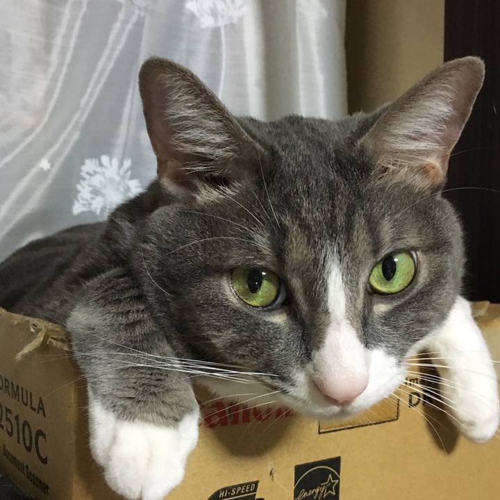 5a40937b 82d5 486c 8167 42eb50897e2b