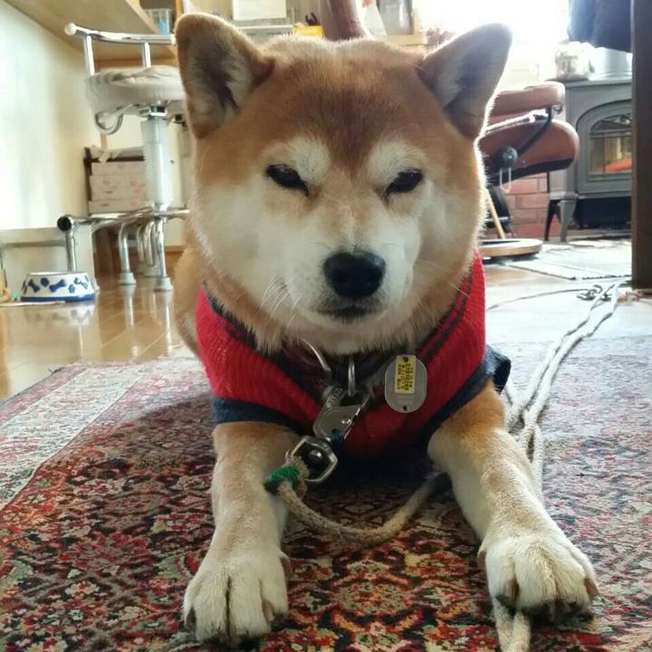 5a40befb ded6 485a 8f6d baa1474f90a9