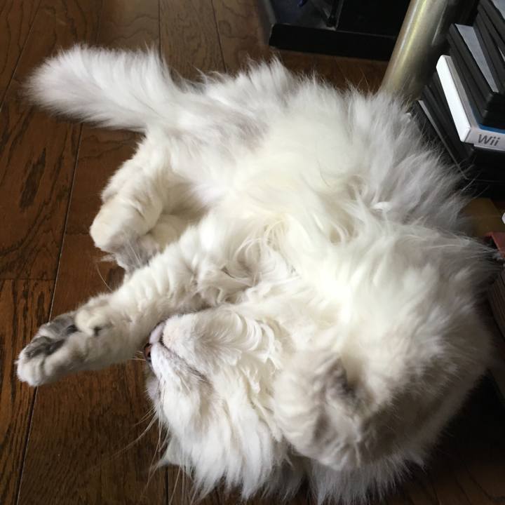 5a40f8be 6463 41bd b64a 6c4a42a45ffc