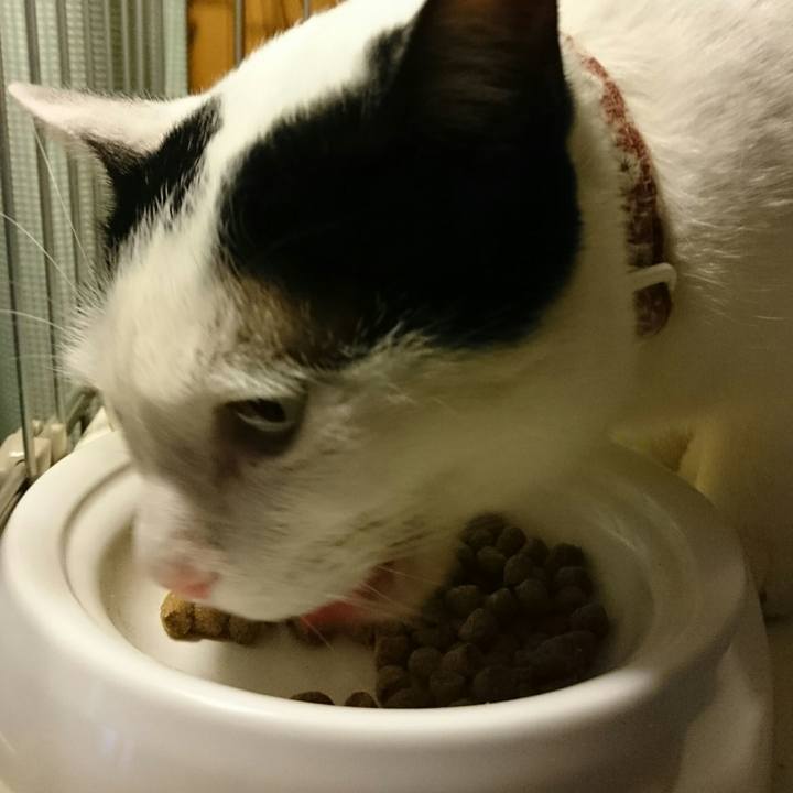 5a413f97 bfd6 49a1 bcc9 d463f331cdf6