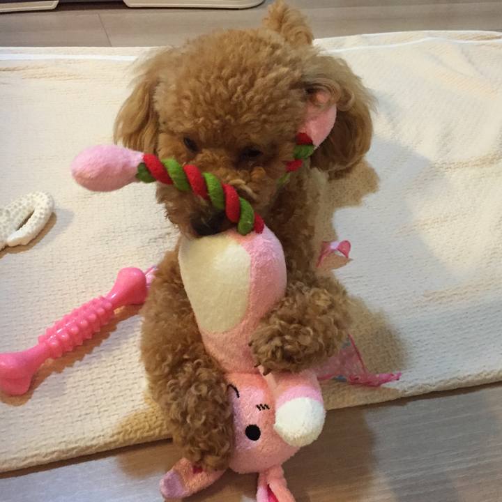 5a41cc98 c9c8 44d1 97a0 0d11ed214a78