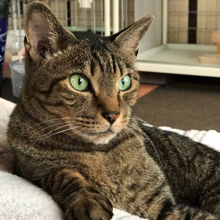 5a41cfad 5b51 4514 a2e3 1426d9053f6c