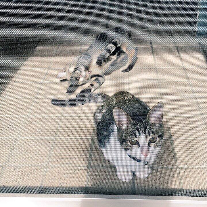 5a41d0ea 8113 4fff 94e9 1fcb0030ee91