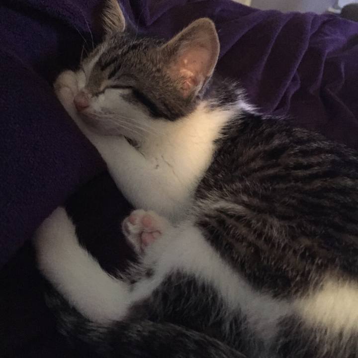 5a423fe5 344f 4446 86c1 31f4db6a446b