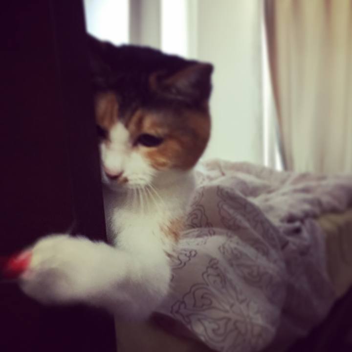 5a426feb e266 4244 996c 1004c3a49786