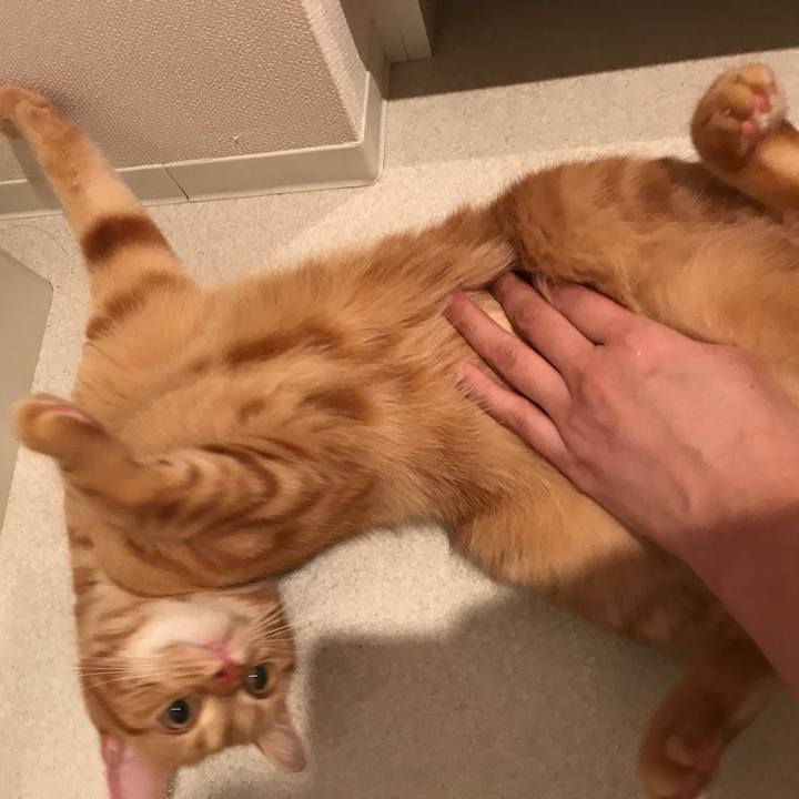 5a437804 d602 4e3f 9799 0c3bbf3d4983