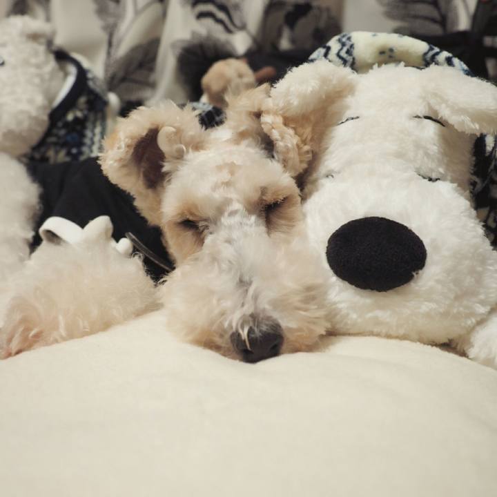 5a43a2ca 90bd 483b 9f05 d3bc17326c7c