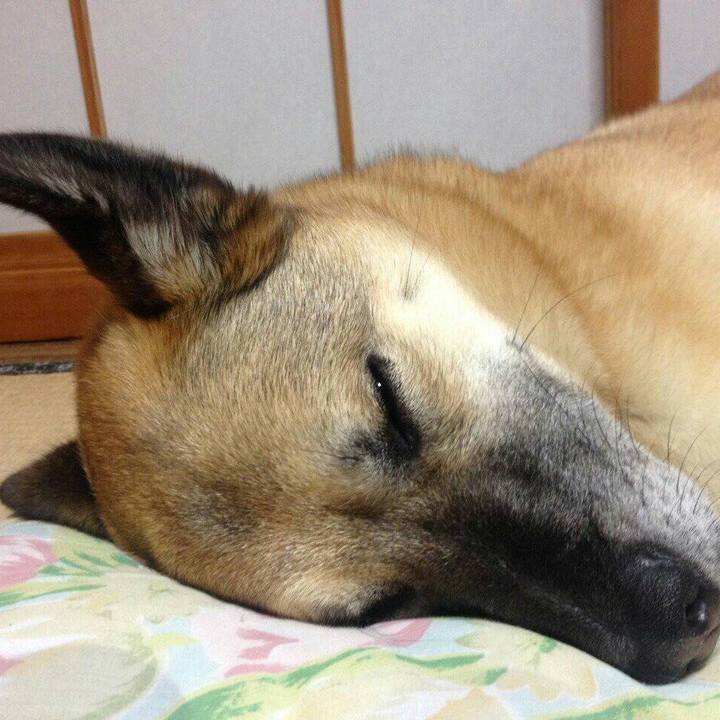 5a43cf51 1fec 466f a5b7 c992d969617a