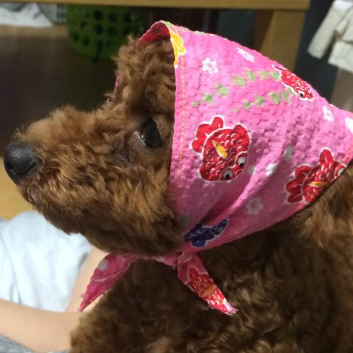 5a43fc40 abba 4f14 b3e8 76eed6a45a10