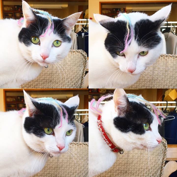 5a447160 e3bd 4925 8073 aedcbee81bf2