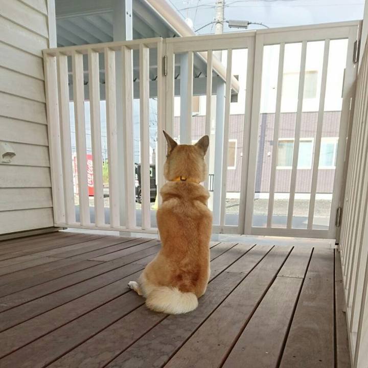 5a459bce eb0f 4540 be5f eef7ea241949