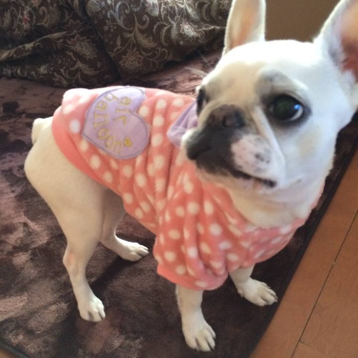 5a45cfea f0b2 4f95 a947 5b20f5d48524