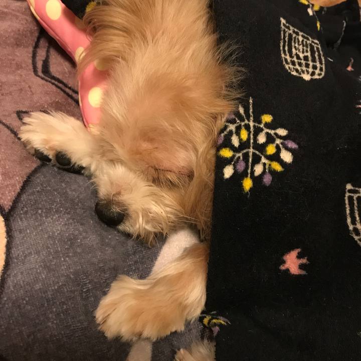 5a45f7a4 a071 43b0 912a 1bc8e5d4fd24