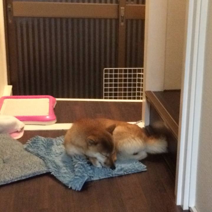 5a46092f 5762 4b0b a111 210e8aa2a609